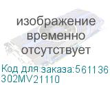 302MV21110