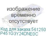P451G3Y24DNE0C