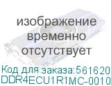 Модуль памяти Infortrend 4GB DDR-IV ECC DIMM (DDR4ECU1R1MC-0010) DDR4ECU1R1MC-0010