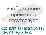 FT-Q100-ZR4-80