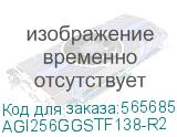 AGI256GGSTF138-R2