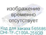 DHI-TF-C100A-256GB