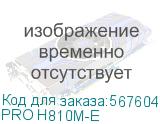 PRO H810M-E