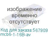 mcb6-1-16B-av