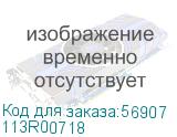 113R00718