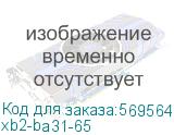 xb2-ba31-65