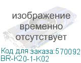 BRITE Розетка компьютерная двойная RJ-45 кат.5E РК10-2-БрЧ черный (IEK) BR-K20-1-K02 BR-K20-1-K02