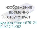 FI-K12-1-K03