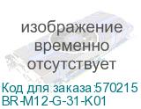 BRITE Рамка 1 пост РУ-1-2-Бр стекло белый матовый (IEK) BR-M12-G-31-K01 BR-M12-G-31-K01