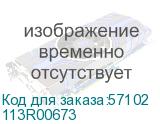 113R00673
