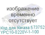 YPC10-0220V-1-100