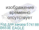 B650E EAGLE