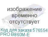 PRO B860M-E