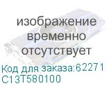C13T580100