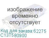 C13T580900
