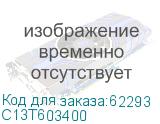 C13T603400