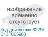 C13T603900