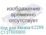 C13T606900