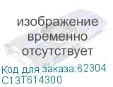 C13T614300
