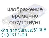C13T617200