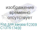 C13T617400