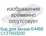 C13T603200