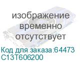C13T606200