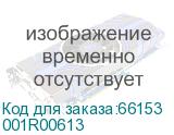 001R00613