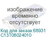 C13T08024010