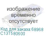 C13T580600