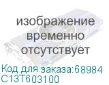 C13T603100