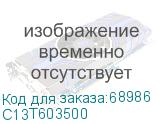 C13T603500