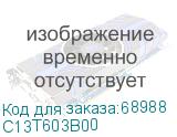 C13T603B00