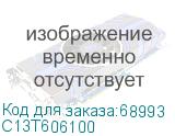 C13T606100