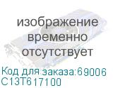 C13T617100