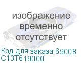 C13T619000