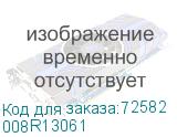 008R13061