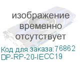 DP-RP-20-IECC19