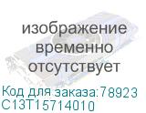 C13T15714010