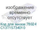 C13T15734010