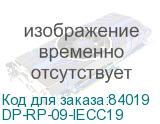 DP-RP-09-IECC19