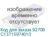 C13T15974010