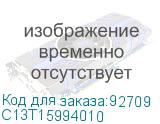 C13T15994010