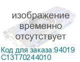 C13T70244010