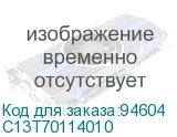 C13T70114010