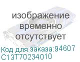 C13T70234010
