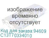 C13T70334010