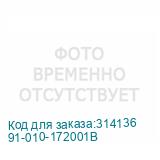 91-010-172001B