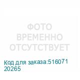 20265