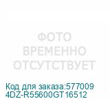 4DZ-R55600GT16512